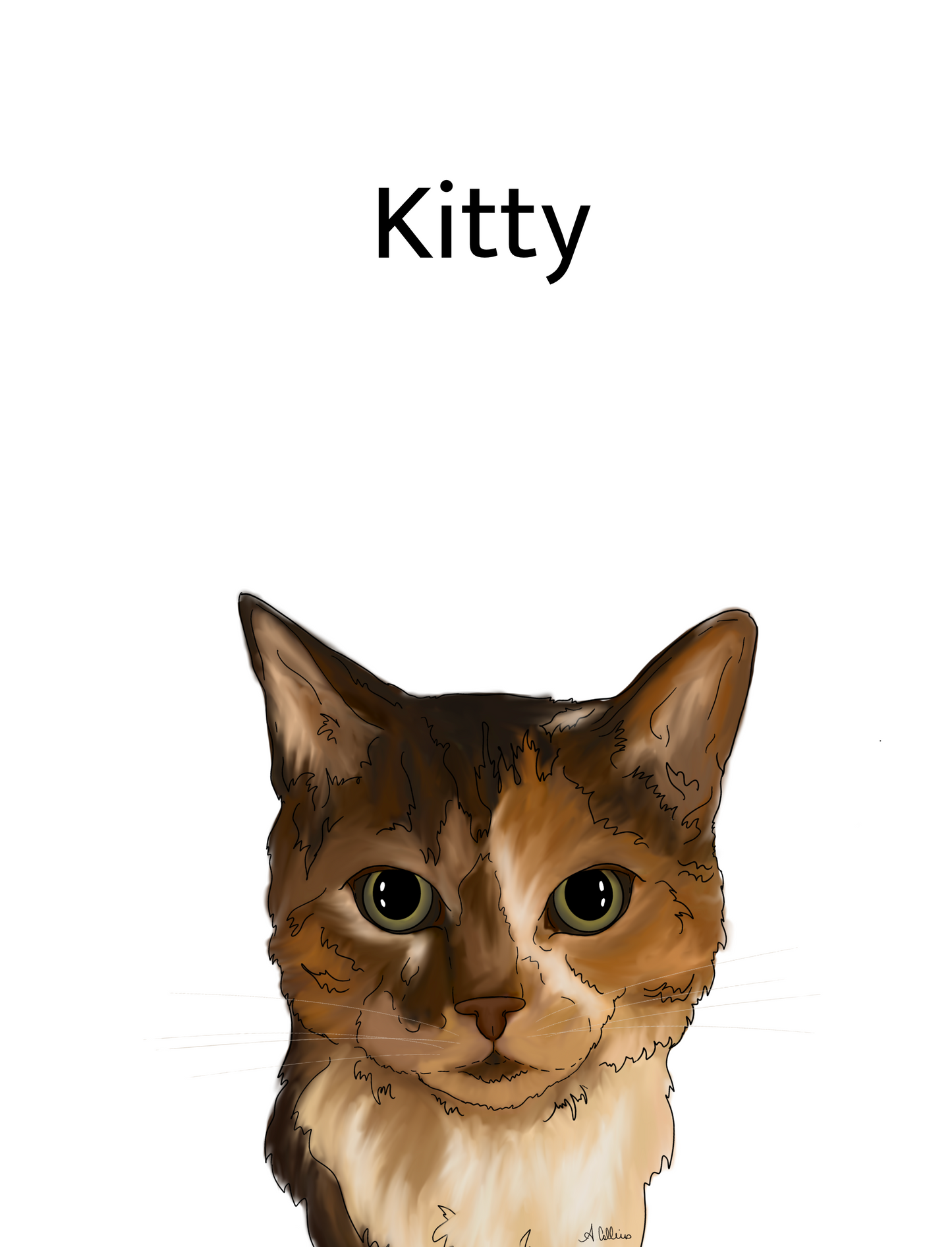 Classic Single Pet Portrait