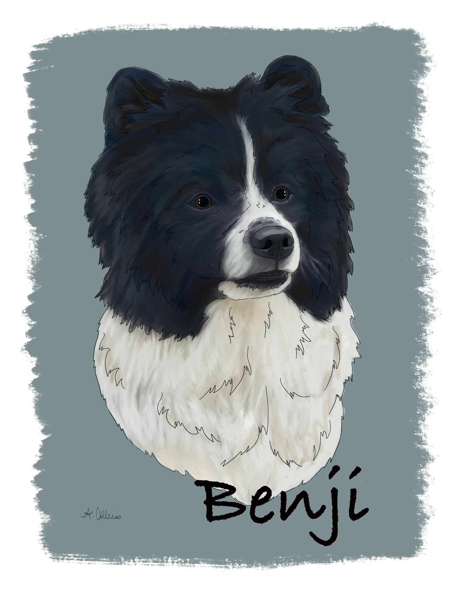 Single Pet Portrait