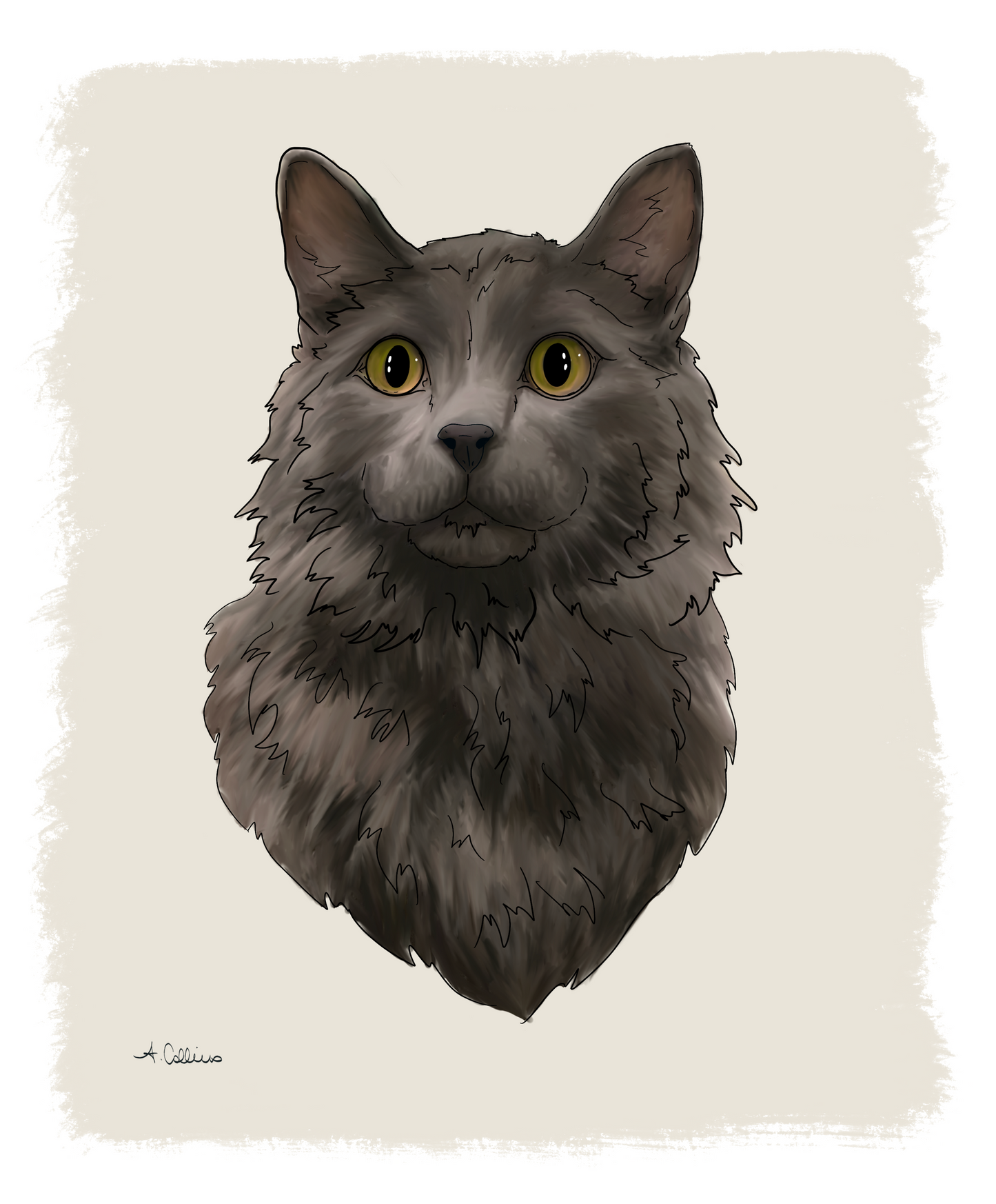 Single Pet Portrait