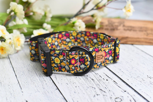 Sally Sunshine Collar