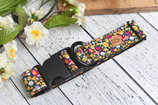 Sally Sunshine Collar