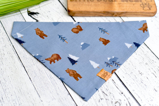 Bear Adventure Bandana