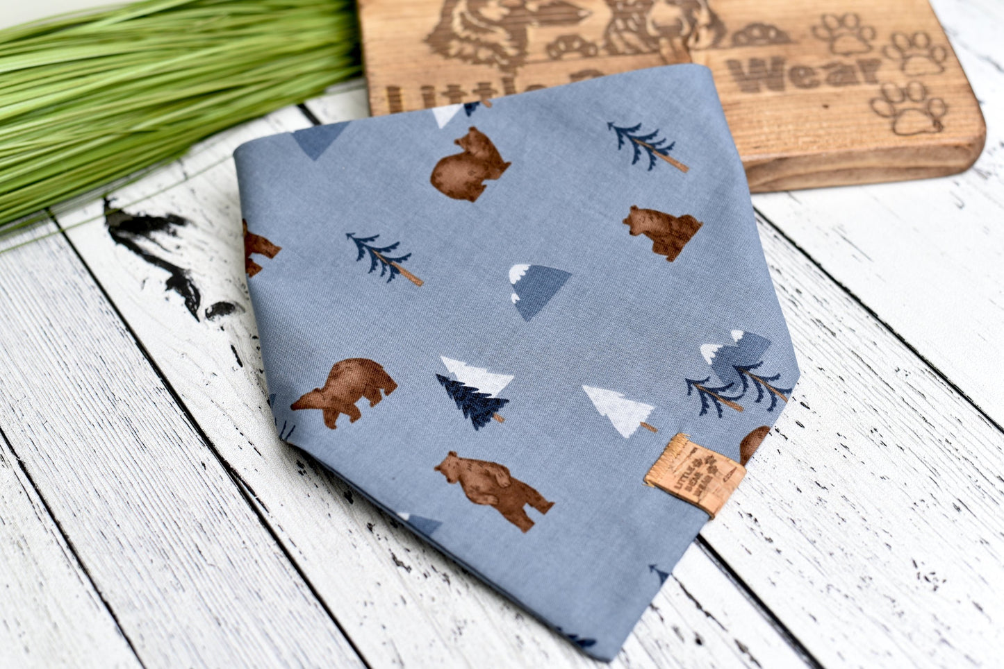 Bear Adventure Bandana