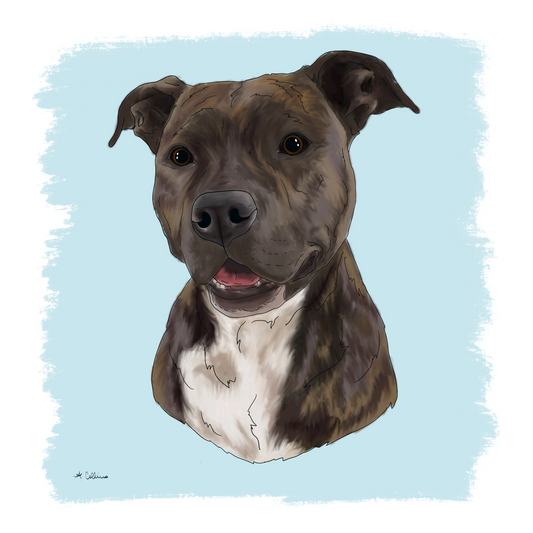 Single Pet Portrait