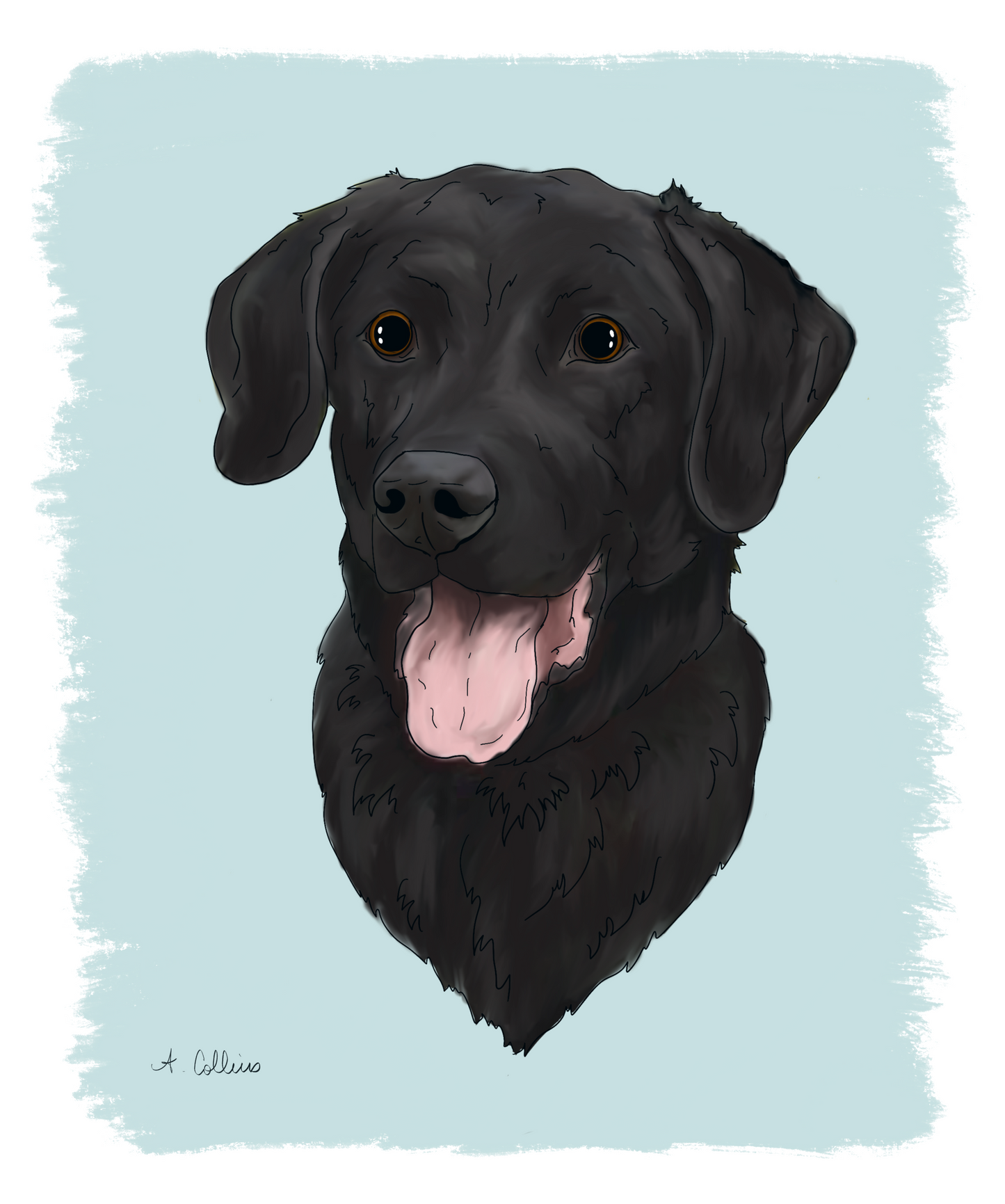 Single Pet Portrait