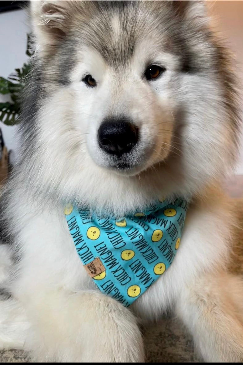 Moose's Chick Magnet Bandana