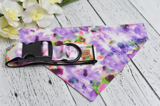 Paisley Purple Collar