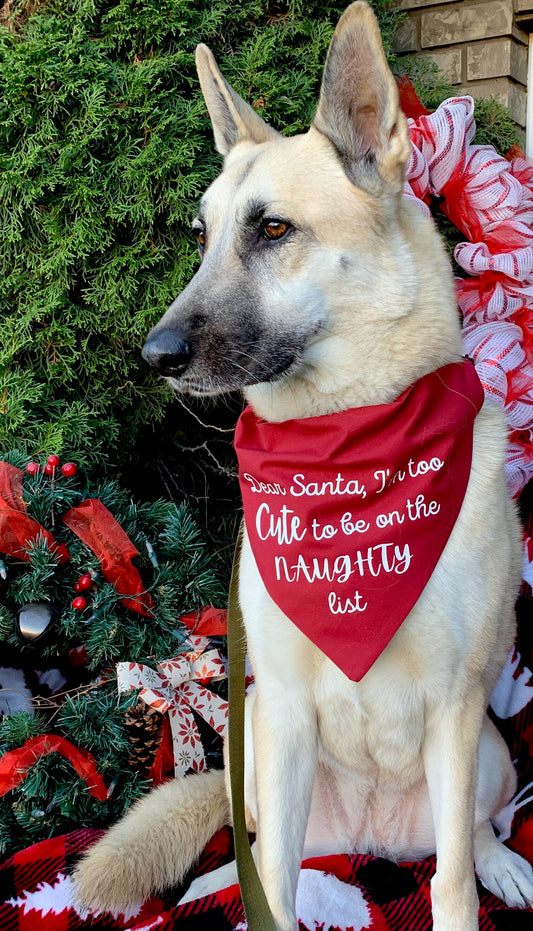 Naughty Pup Bandana