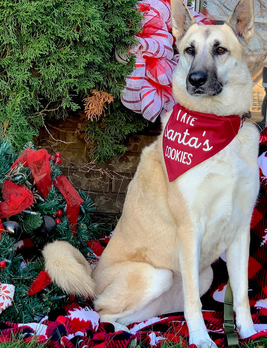 Santa's Cookies Bandana