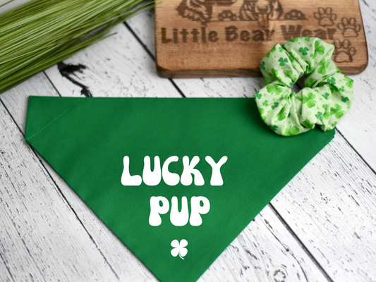 St. Patricks Day Celebration Bandana