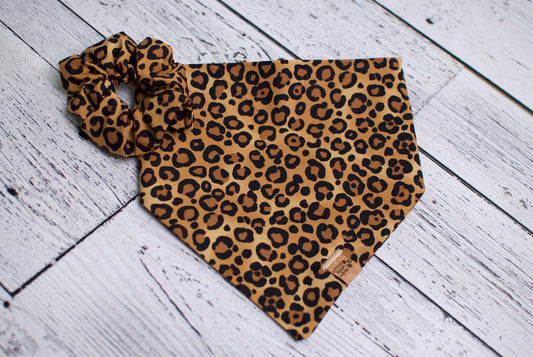 Luna Leopard Bandana