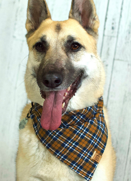 Marty Bond Plaid Bandana