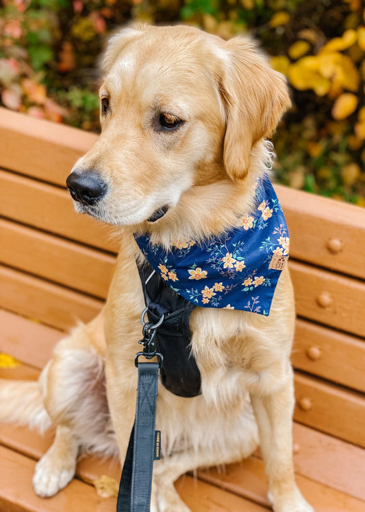 Aspen Bloom Bandana