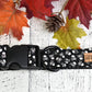 Bad to the Bone Collar