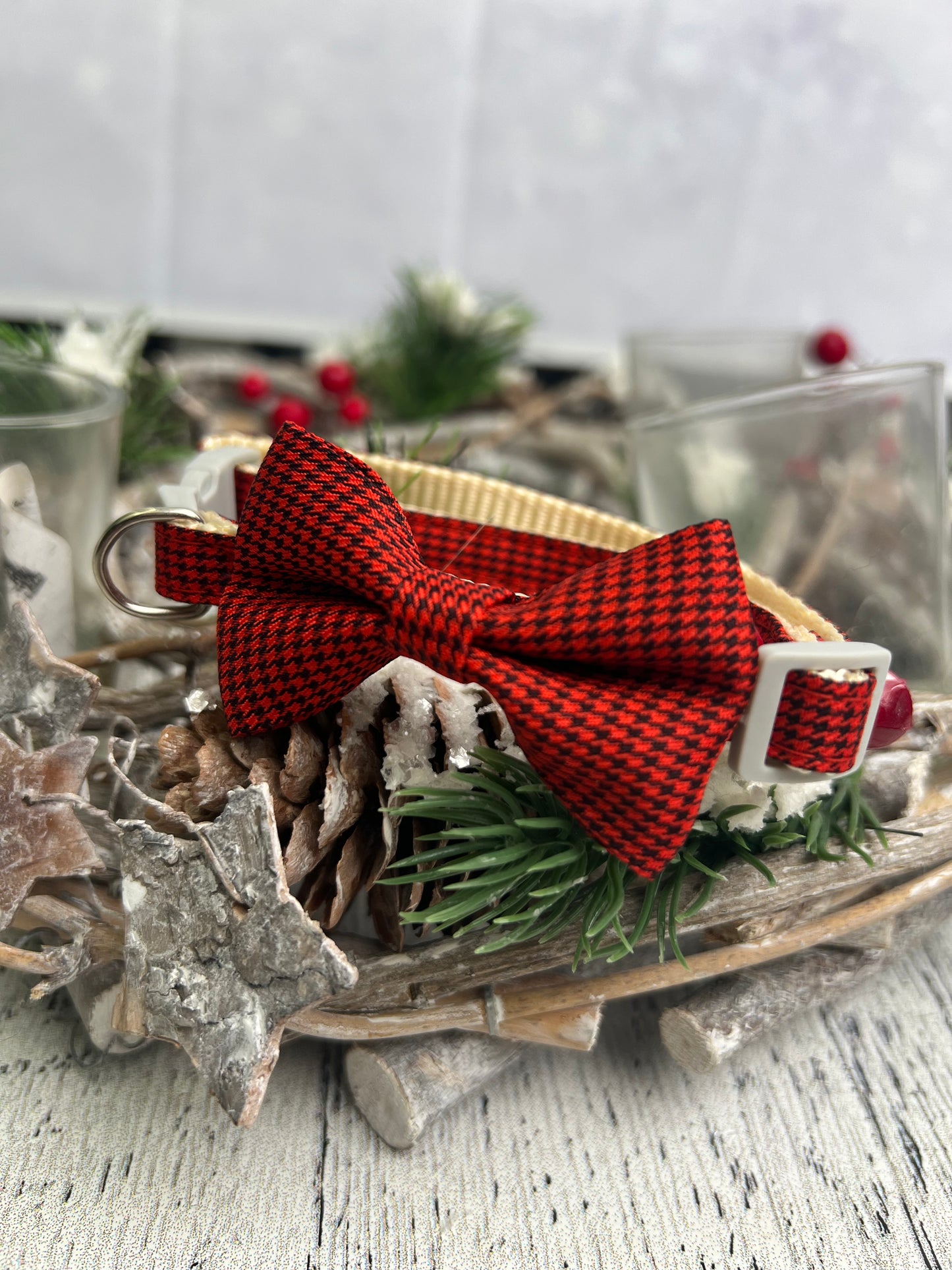 Mini Christmas Assorted Dog Collar