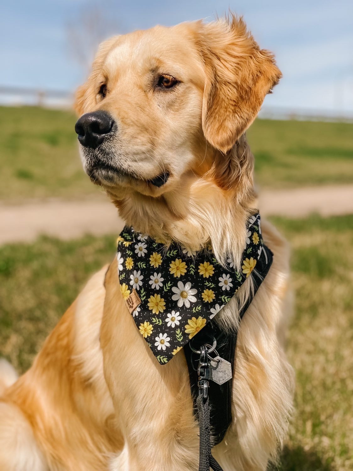 Bonnie Bouquet Bandana