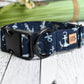 Archie Anchors Collar