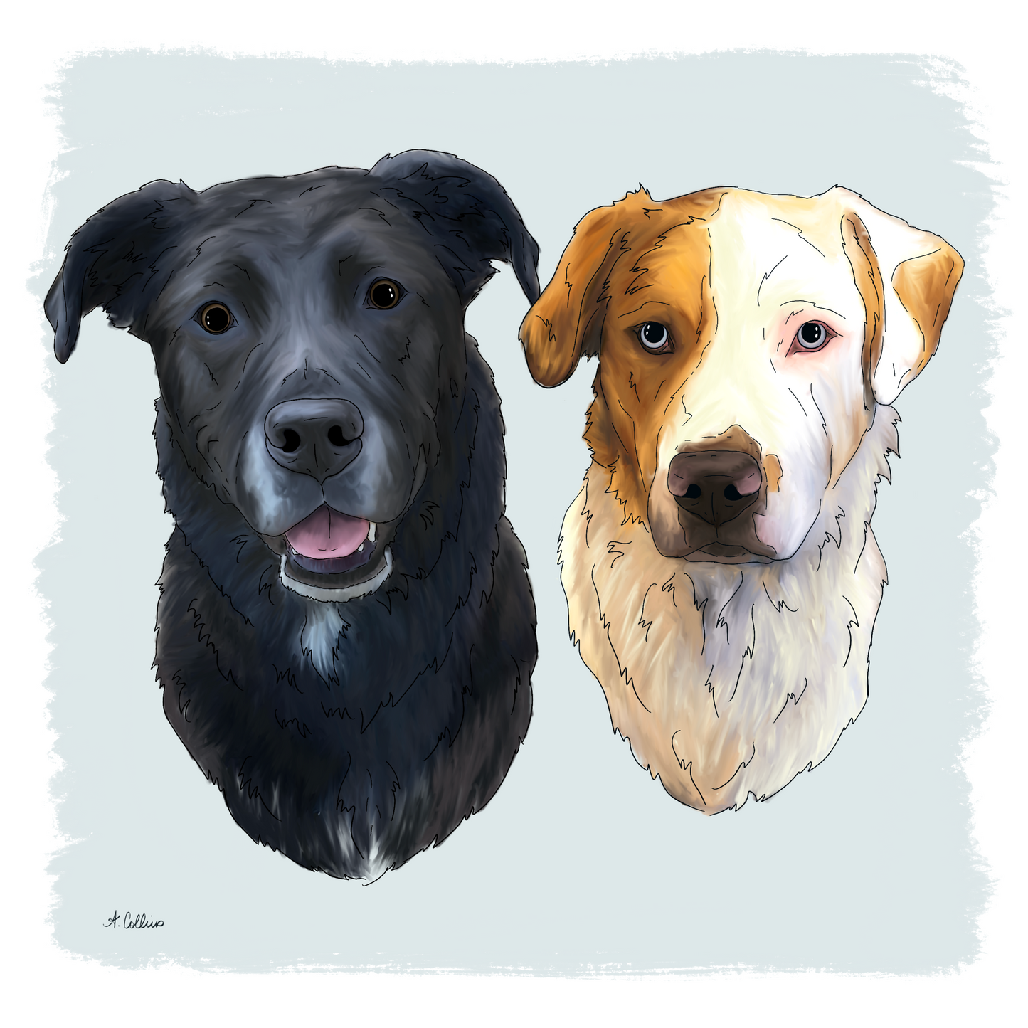 Multi-Pet Portrait