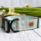 Dolly Dots Collar