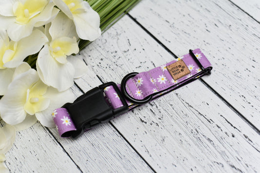 Deanie Daisy Collar