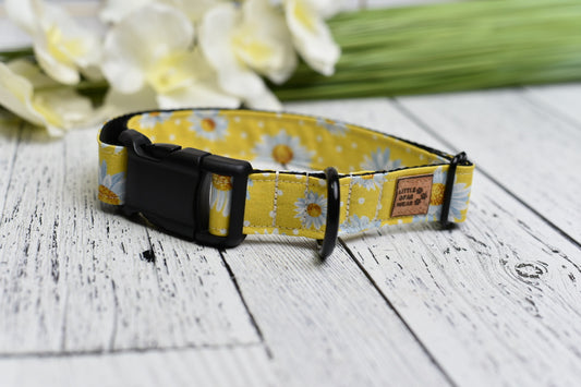 Daisy Days Collar