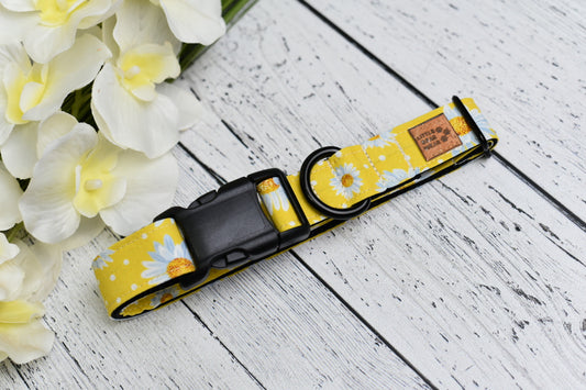 Daisy Days Collar
