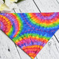 Teddy Tye Dye Bandana