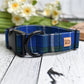 Nova Scotia Tartan Collar