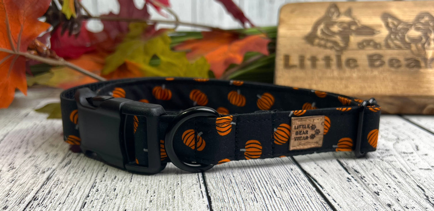 Pookie Pumpkins Collar