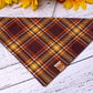 Sitka Sunrise Plaid Bandana